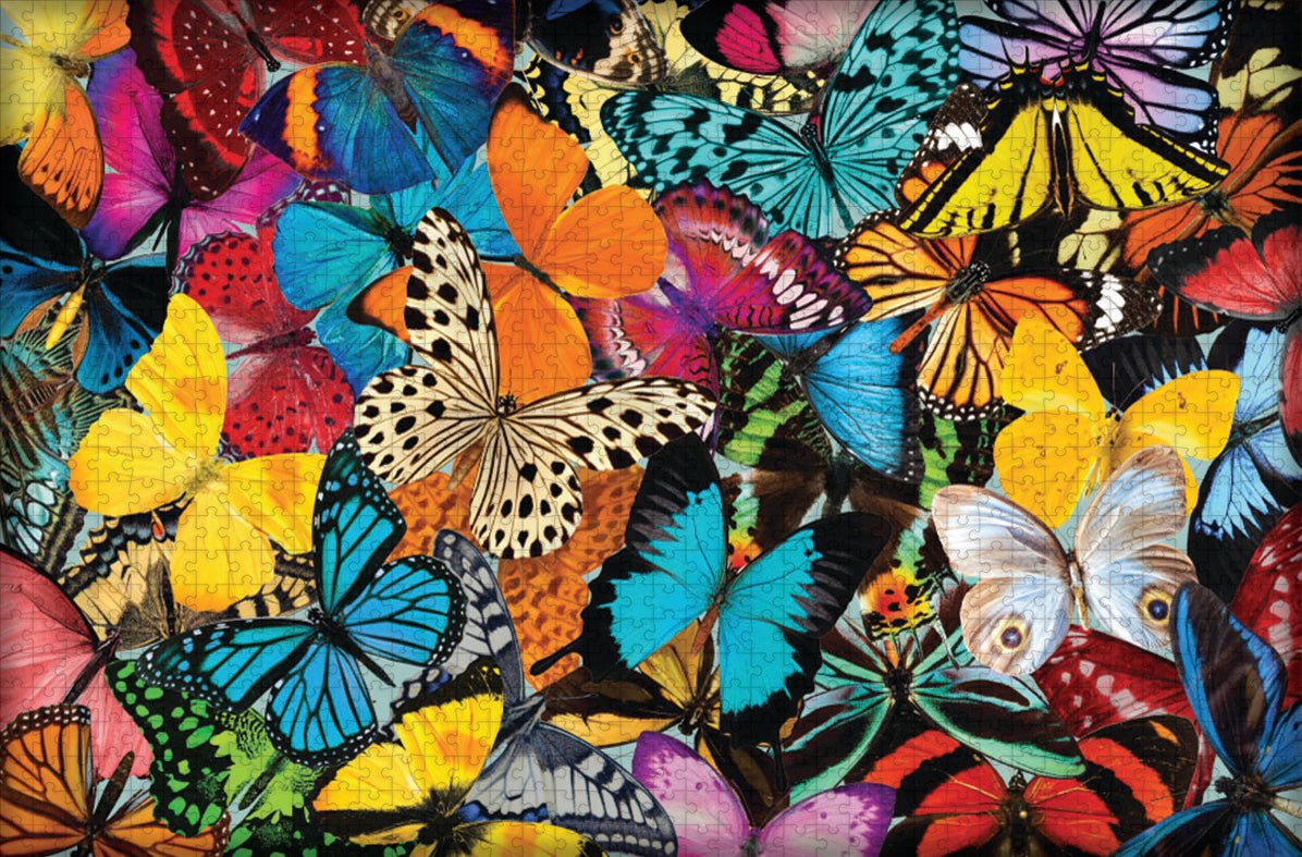 Beautiful Butterflies