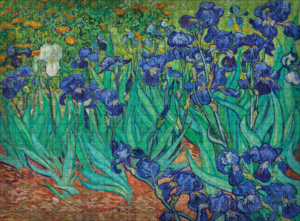 Irisis by Vincent Van Gogh